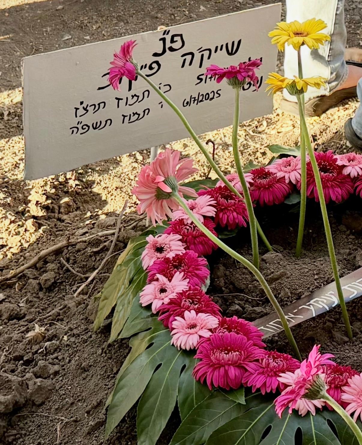 שייקה פייקוב  1937-2025